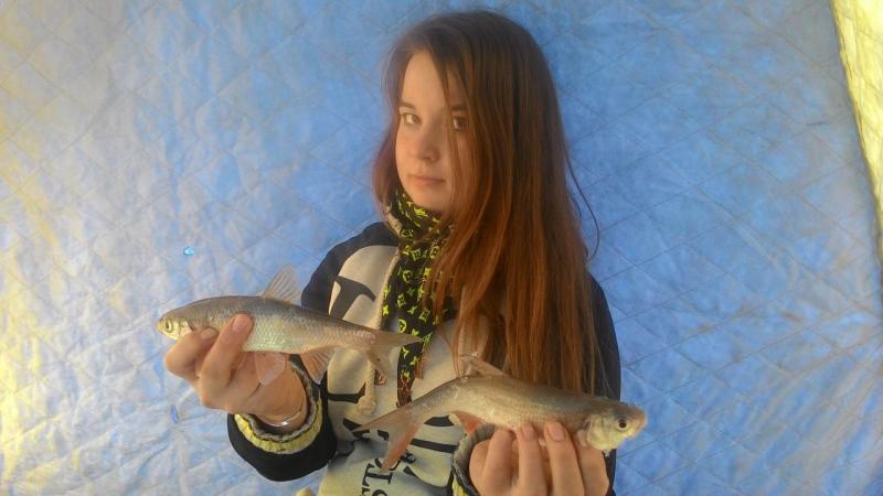 Прикрепленное изображение