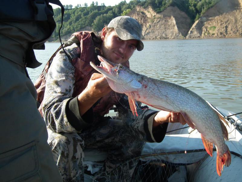 Прикрепленное изображение