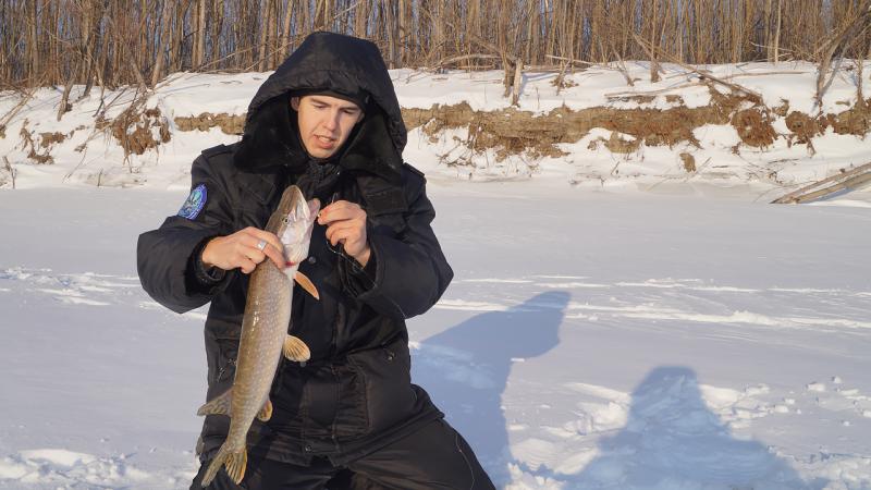 Прикрепленное изображение