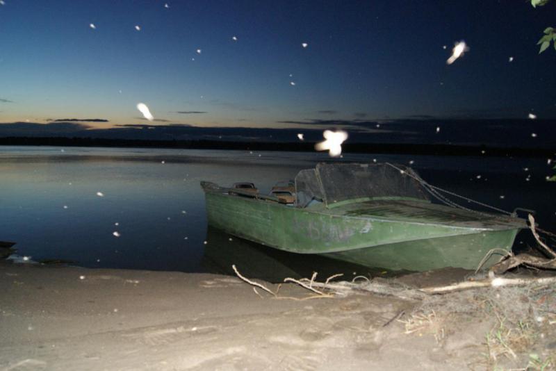 Прикрепленное изображение