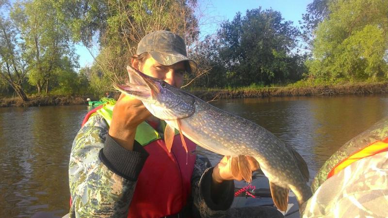 Прикрепленное изображение