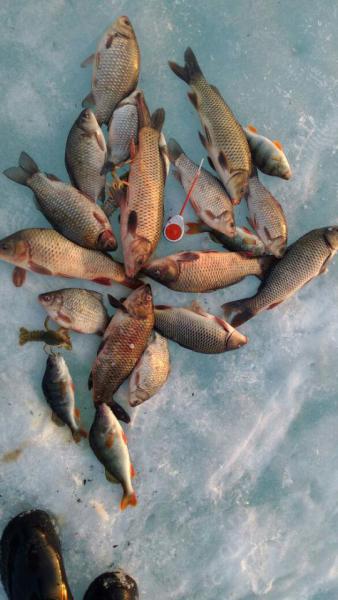 Прикрепленное изображение