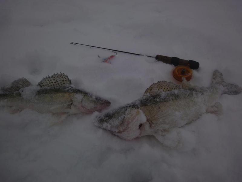 Прикрепленное изображение