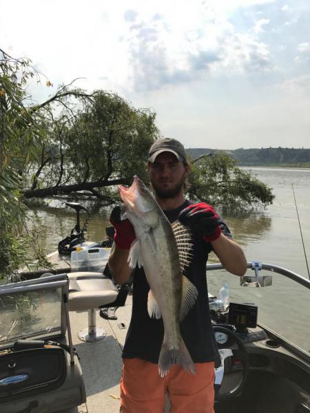 Прикрепленное изображение