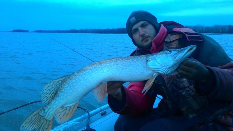 Прикрепленное изображение