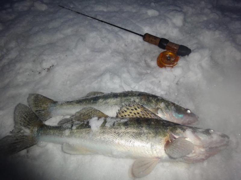 Прикрепленное изображение