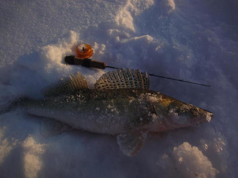 Прикрепленное изображение