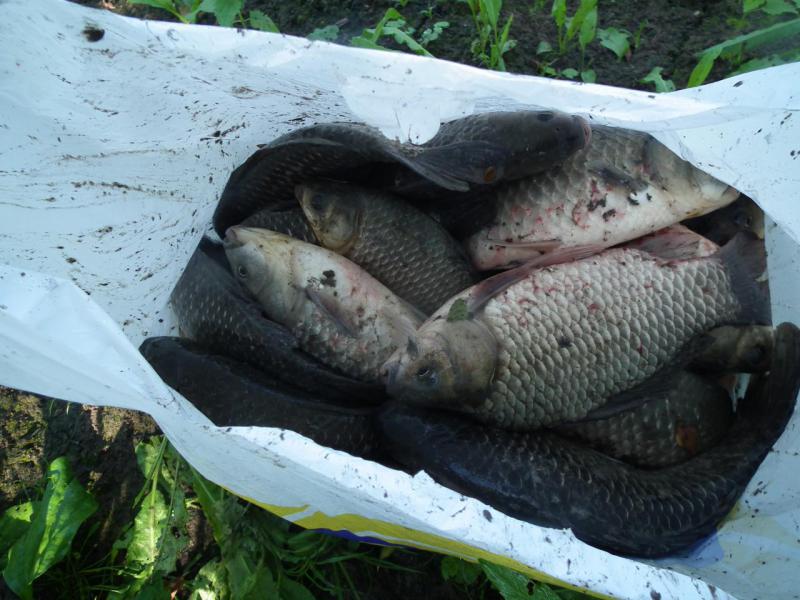 Прикрепленное изображение