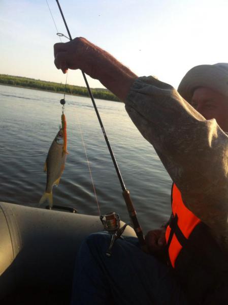 Прикрепленное изображение