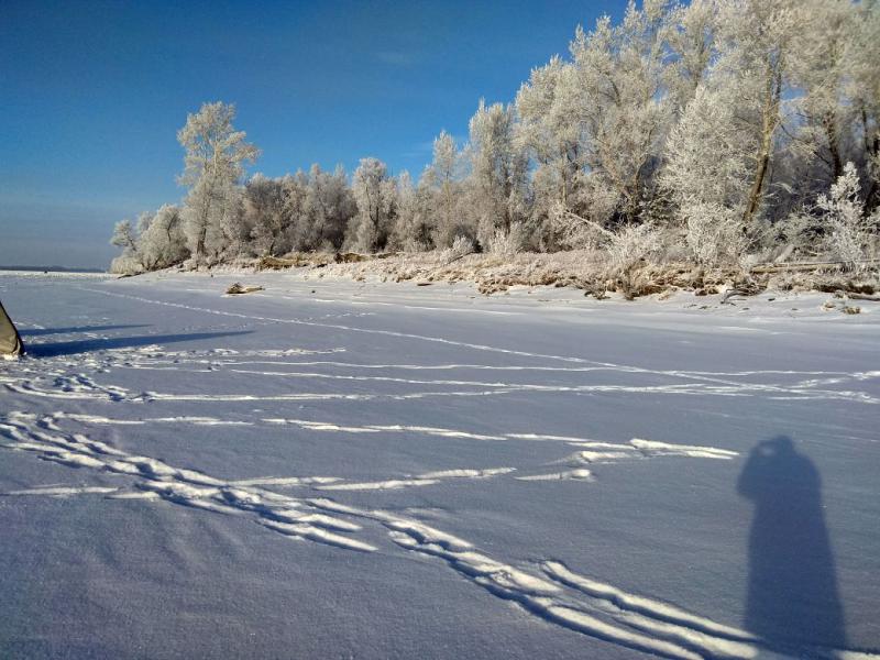 Прикрепленное изображение