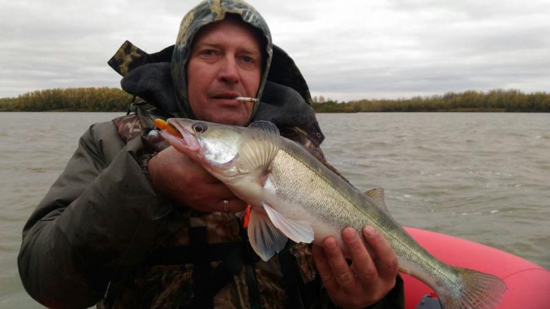 Прикрепленное изображение