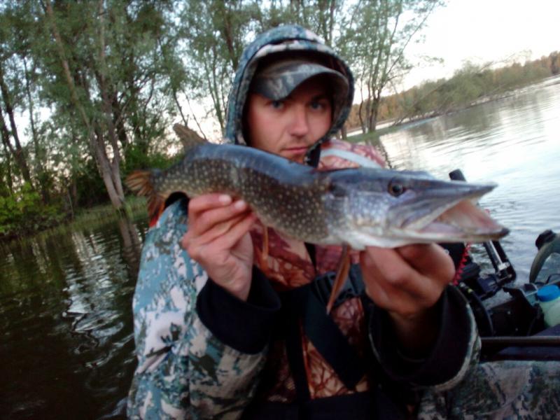 Прикрепленное изображение