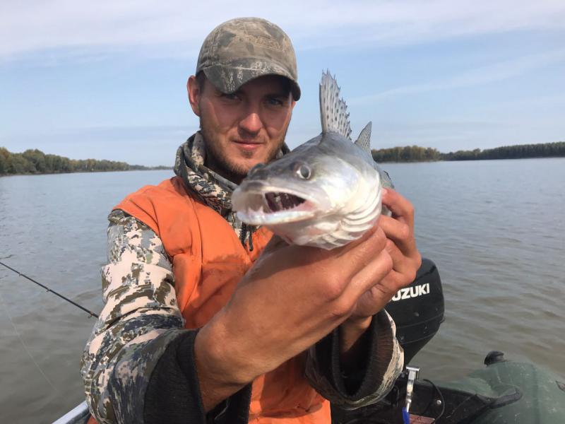 Прикрепленное изображение