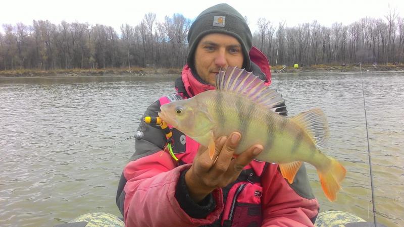 Прикрепленное изображение