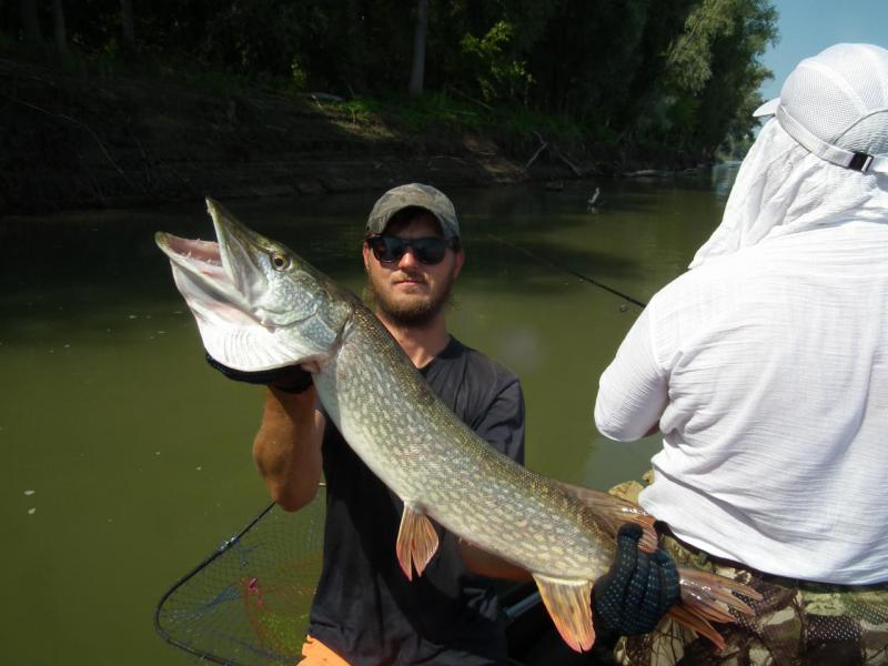 Прикрепленное изображение