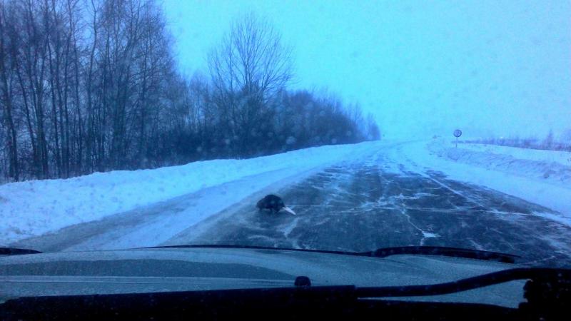 Прикрепленное изображение