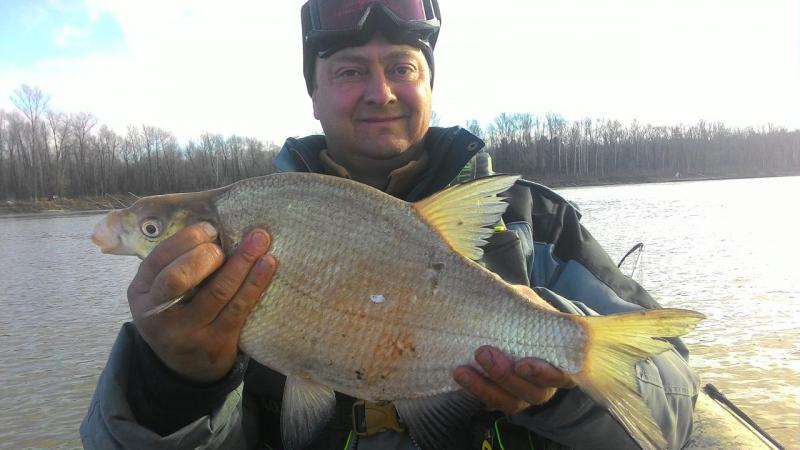 Прикрепленное изображение