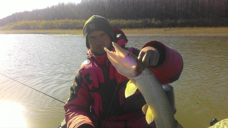 Прикрепленное изображение