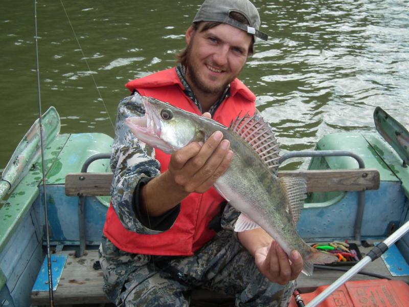 Прикрепленное изображение