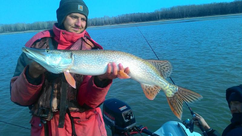 Прикрепленное изображение