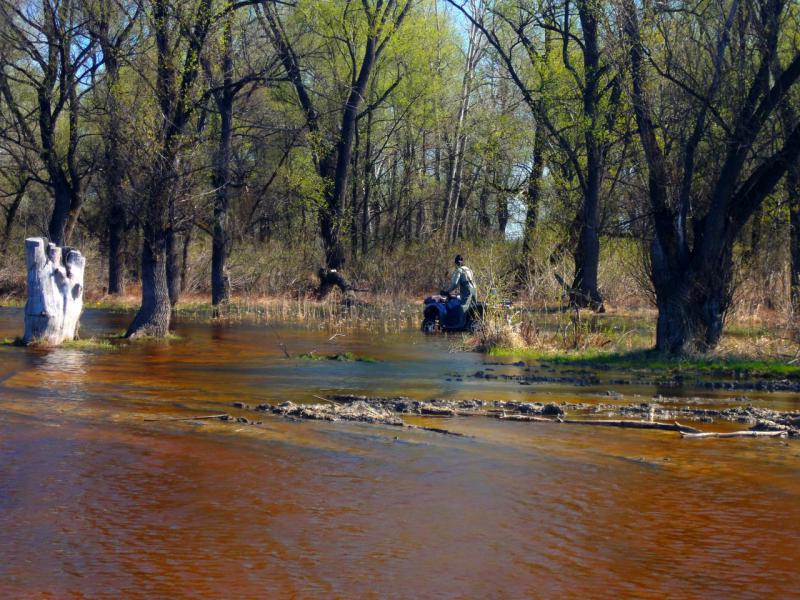 Прикрепленное изображение