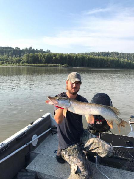 Прикрепленное изображение