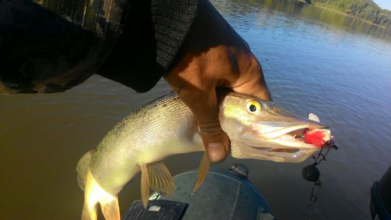 Прикрепленное изображение