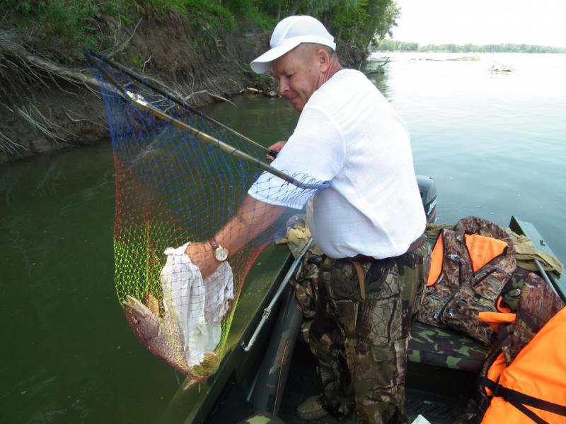 Прикрепленное изображение
