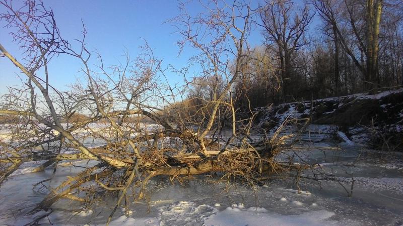 Прикрепленное изображение