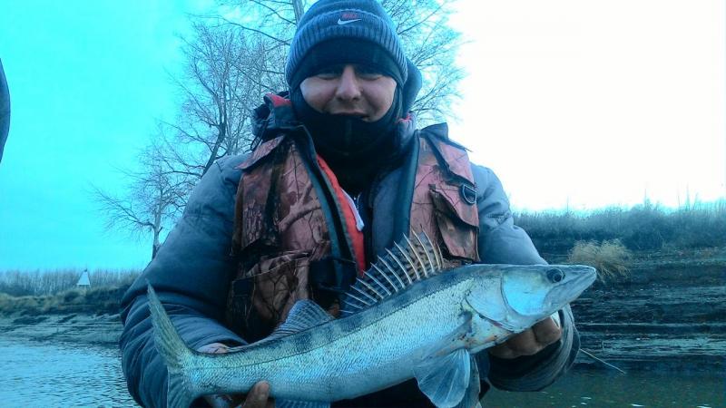 Прикрепленное изображение