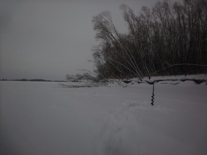 Прикрепленное изображение