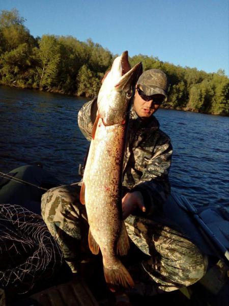 Прикрепленное изображение