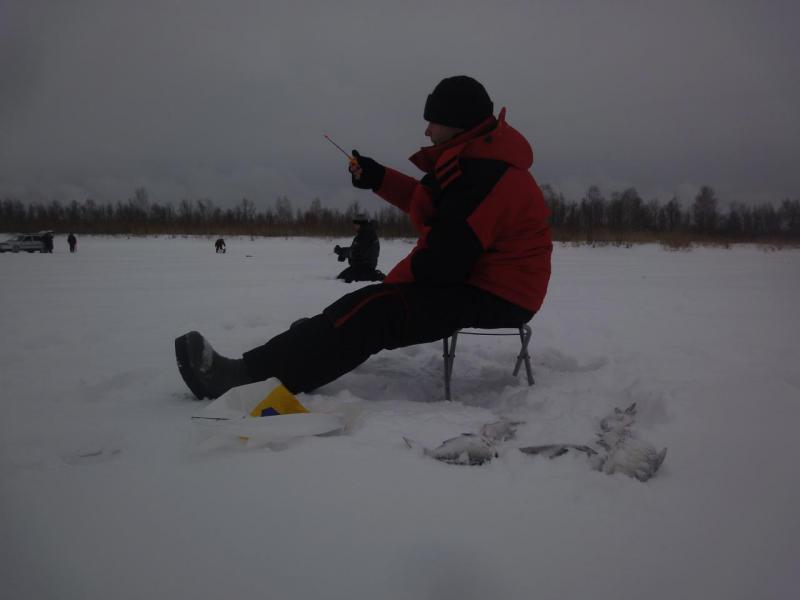 Прикрепленное изображение