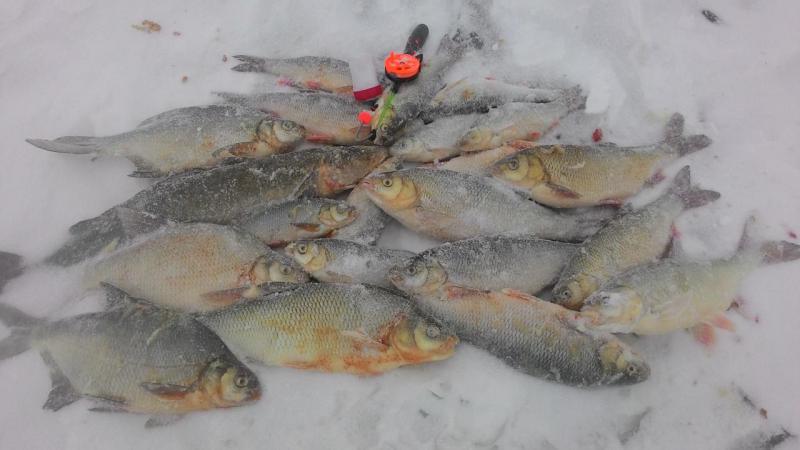 Прикрепленное изображение