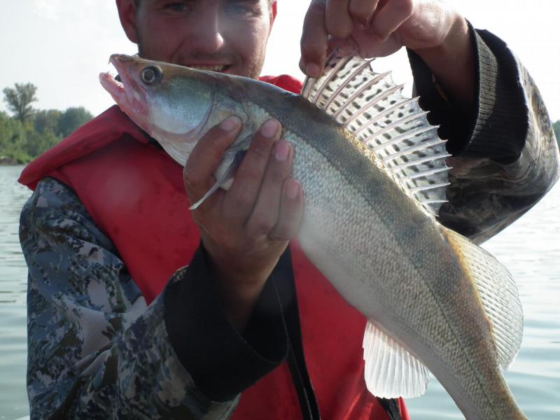 Прикрепленное изображение