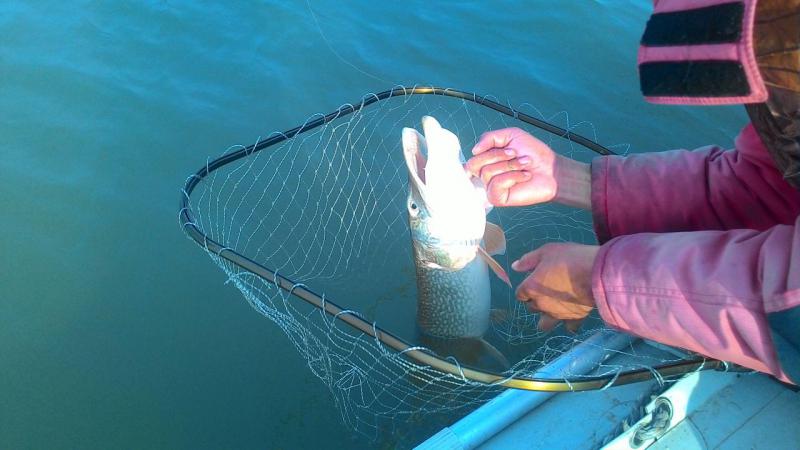 Прикрепленное изображение