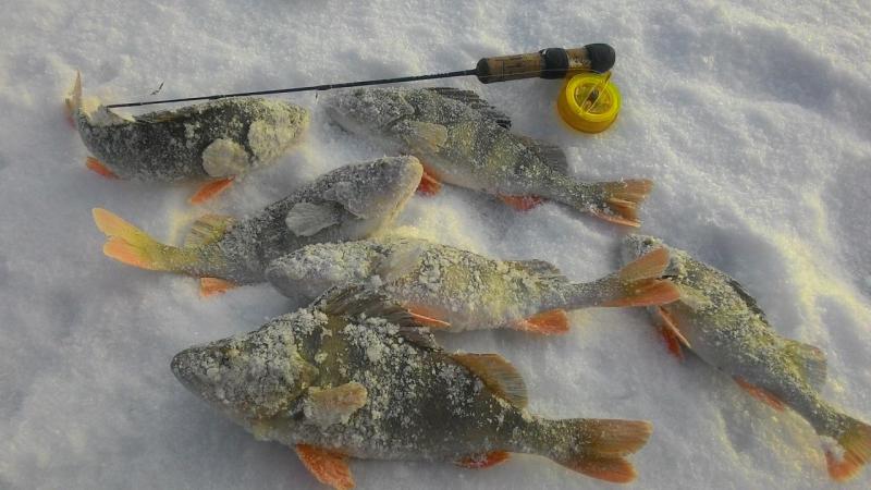 Прикрепленное изображение