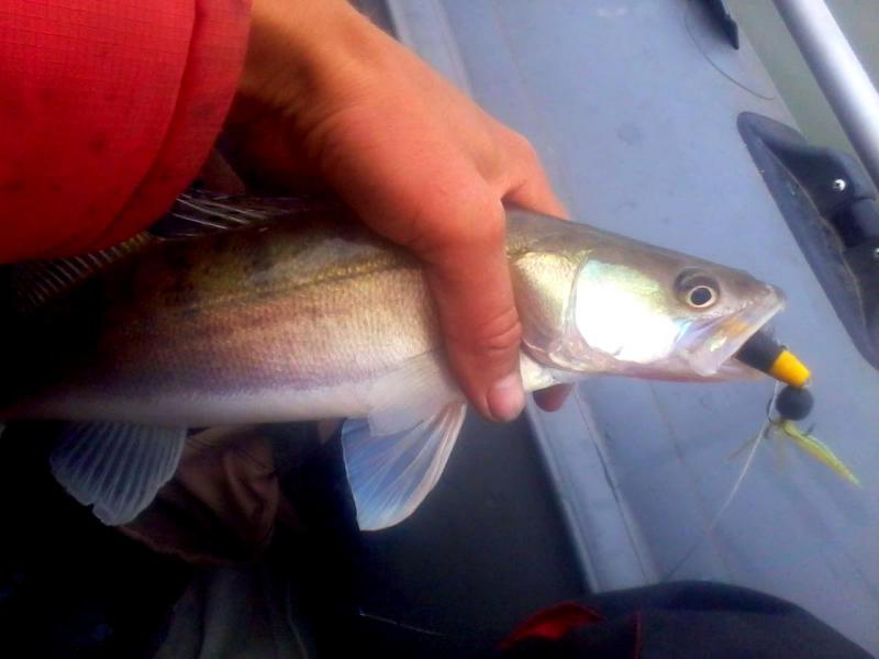 Прикрепленное изображение