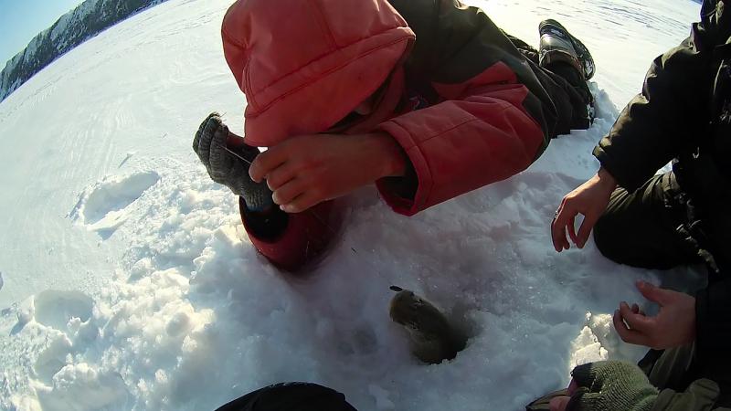 Прикрепленное изображение