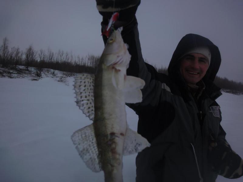 Прикрепленное изображение