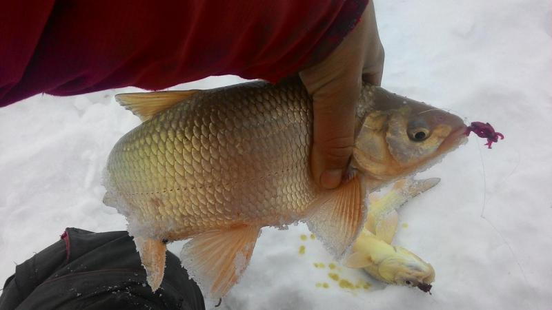 Прикрепленное изображение