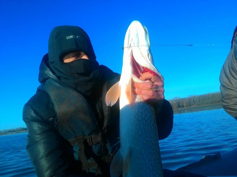 Прикрепленное изображение