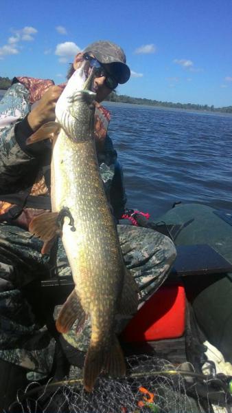 Прикрепленное изображение