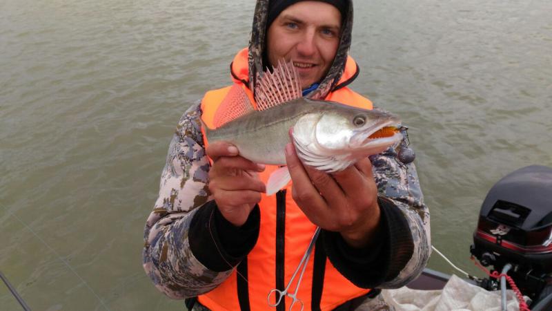 Прикрепленное изображение