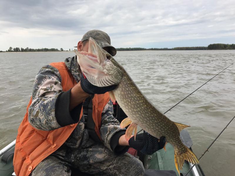 Прикрепленное изображение