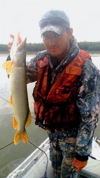 Прикрепленное изображение