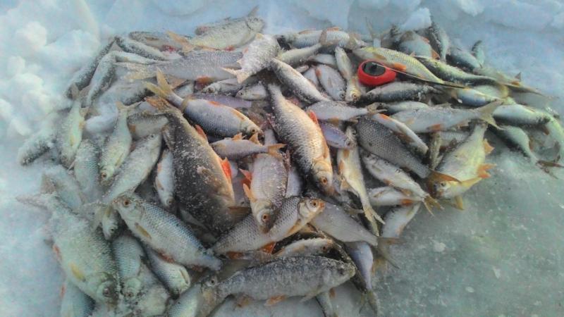 Прикрепленное изображение