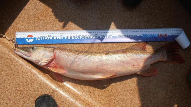 Прикрепленное изображение