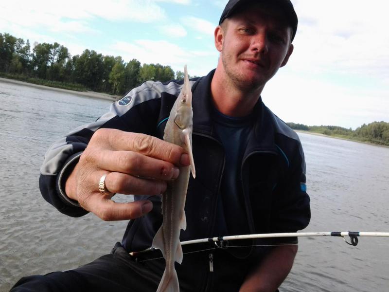 Прикрепленное изображение