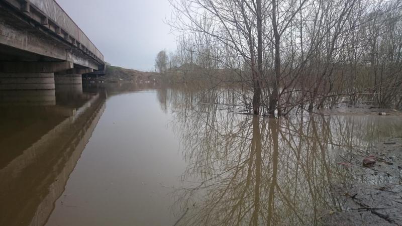 Прикрепленное изображение